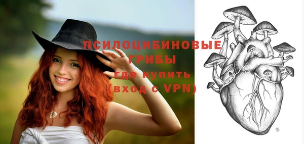ПСИЛОЦИБИНОВЫЕ ГРИБЫ Баксан
