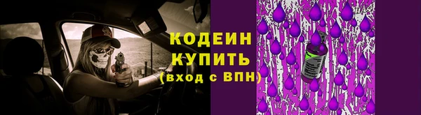 экстази Арсеньев