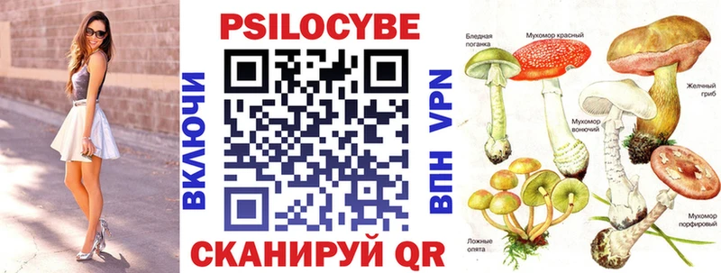 кракен маркетплейс как найти закладки Усть-Джегута Галлюциногенные грибы MAGIC MUSHROOMS